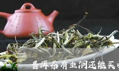 普洱茶有虫洞还能买吗/2023092765354