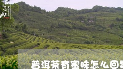 普洱茶有蜜味怎么回事/2023092760715