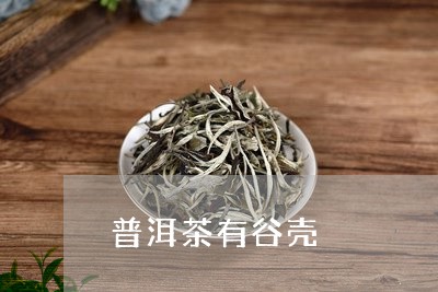 普洱茶有谷壳/2023042744931