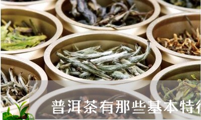 普洱茶有那些基本特征/2023062349592