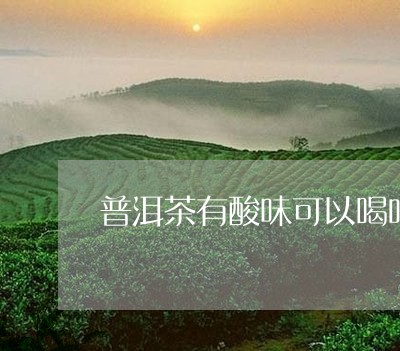 普洱茶有酸味可以喝吗/2023073081826