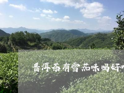 普洱茶有雪茄味吗好喝吗/2023083072806