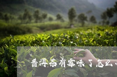 普洱茶有霉味了怎么办/2023092903727