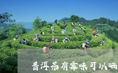 普洱茶有霉味可以晒吗/2023061943726