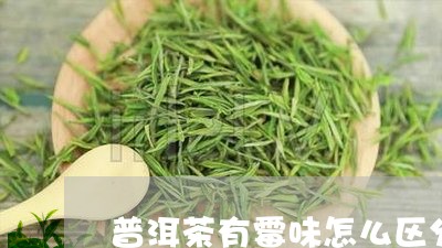 普洱茶有霉味怎么区分/2023100807361