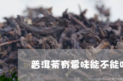 普洱茶有霉味能不能吃/2023092695167