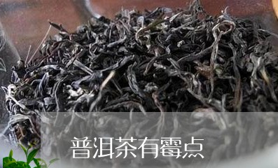 普洱茶有霉点/2023042966427