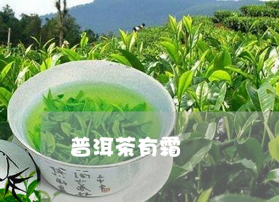 普洱茶有霜/2023090693826