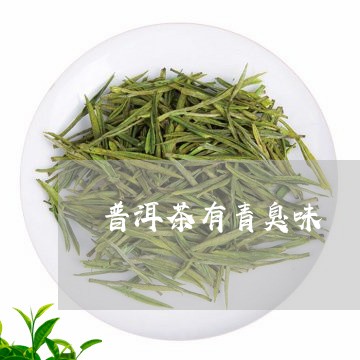 普洱茶有青臭味/2023102623847