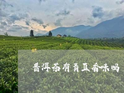 普洱茶有青豆香味吗/2023083034141