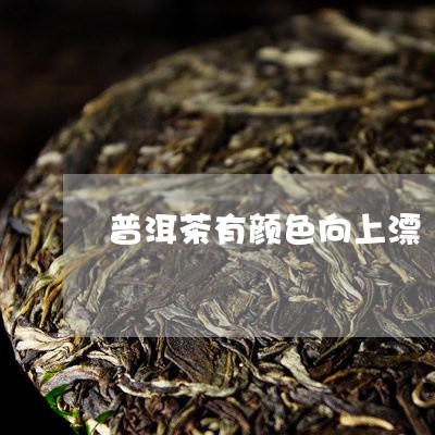 普洱茶有颜色向上漂/2023101693626