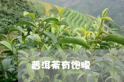 普洱茶有饱腹/2023042688503