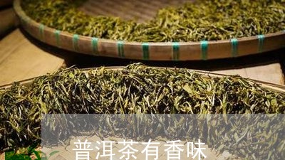 普洱茶有香味/2023042737337