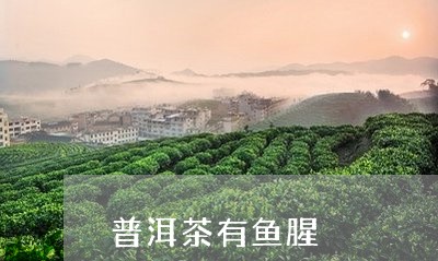 普洱茶有鱼腥/2023042781953