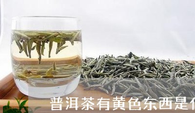 普洱茶有黄色东西是什么/2023122057160