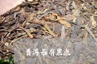 普洱茶有黑点/2023042680