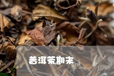 普洱茶期末/2023090657069