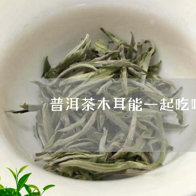 普洱茶木耳能一起吃吗/2023062803927