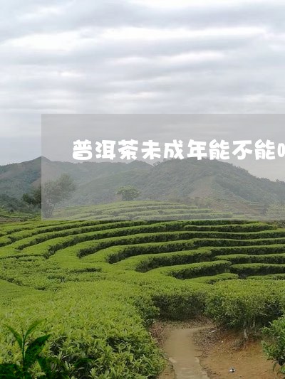 普洱茶未成年能不能喝/2023092619372