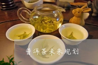 普洱茶未来规划/2023101604938