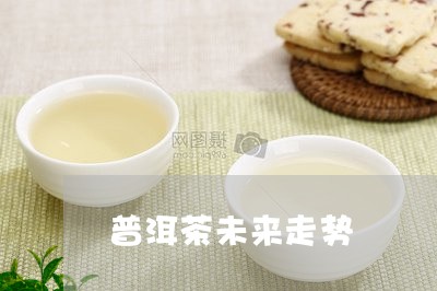 普洱茶未来走势/2023120376138