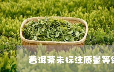 普洱茶未标注质量等级/2023100745281