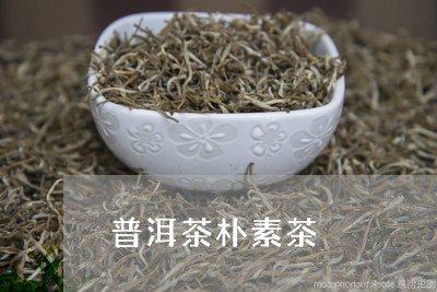 普洱茶朴素茶/2023101601704