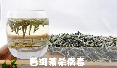 普洱茶杀病毒/2023042722164