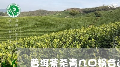 普洱茶杀青几口锅合适/2023062971694