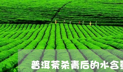 普洱茶杀青后的水含量/2023062937484