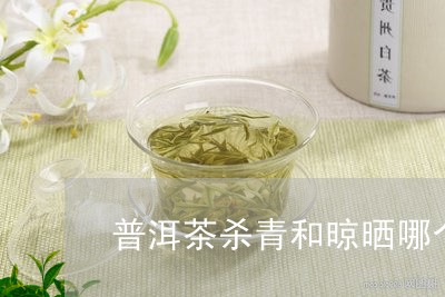 普洱茶杀青和晾晒哪个好/2023102402604