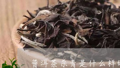 普洱茶杀青是什么样的/2023072464052