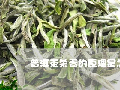 普洱茶杀青的原理是怎样的/2023083016168