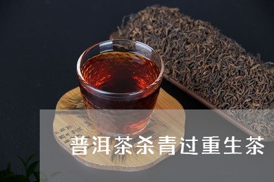 普洱茶杀青过重生茶/2023062852948