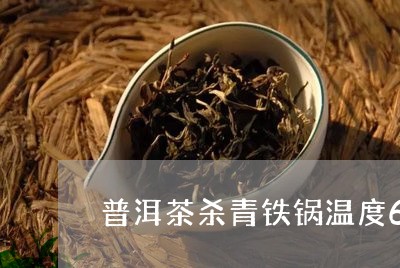 普洱茶杀青铁锅温度6/2023100706078