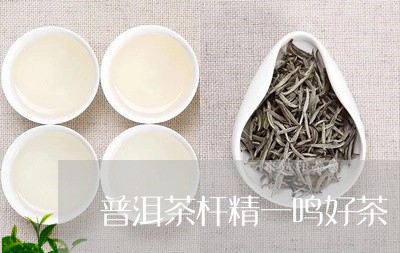 普洱茶杆精一鸣好茶/2023081692704