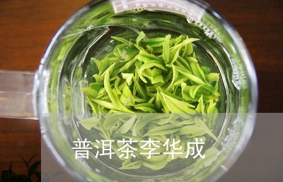 普洱茶李华成/2023042602797