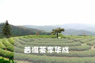 普洱茶李华成/2023091350604