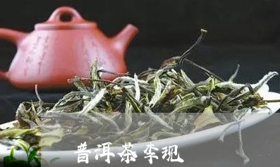 普洱茶李现/2023102505028