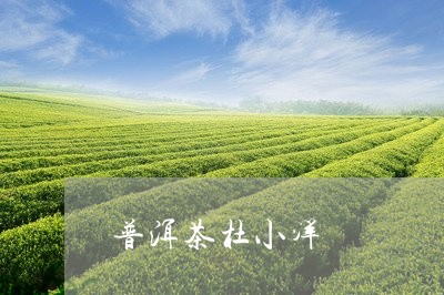 普洱茶杜小洋/2023042658883