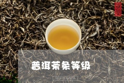 普洱茶条等级/2023042617425