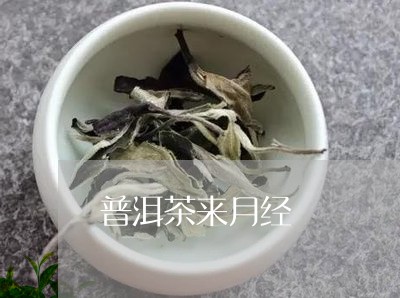 普洱茶来月经/2023042811480