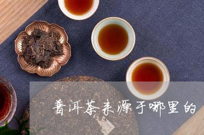 普洱茶来源于哪里的/2023120523715