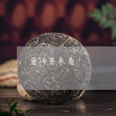 普洱茶来着/2023090563846