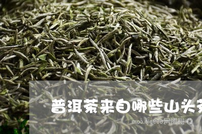 普洱茶来自哪些山头茶叶/2023083047160