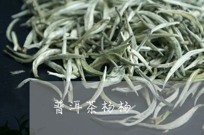 普洱茶杨杨/2023082637414