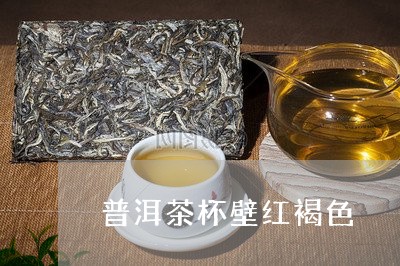 普洱茶杯壁红褐色/2023080224056