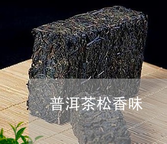 普洱茶松香味/2023091361906