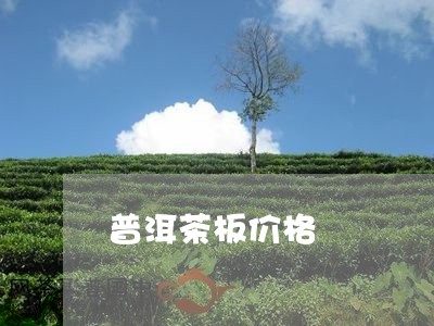 普洱茶板价格/2023112696048