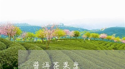 普洱茶果盘/2023102512737